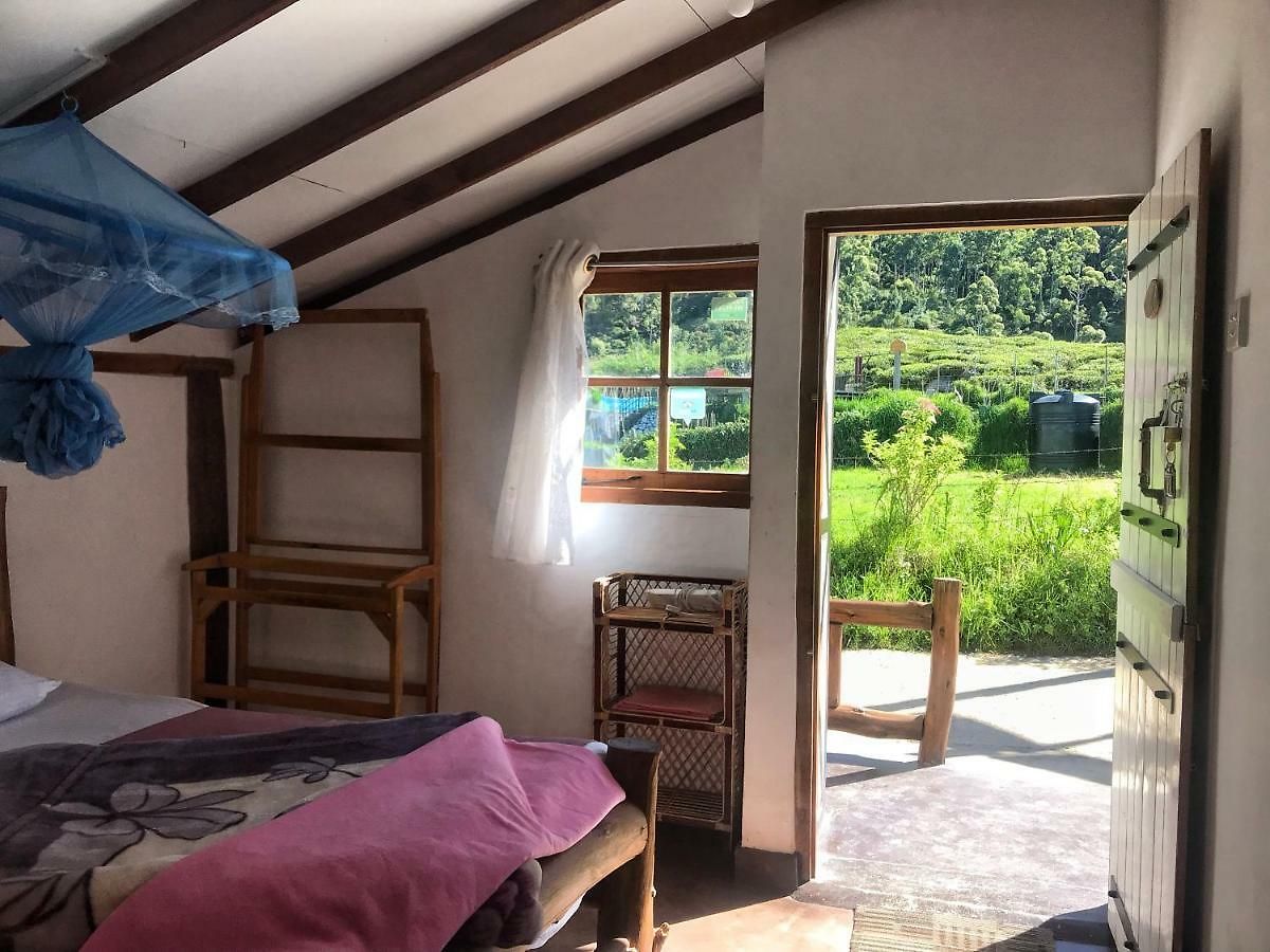 Villa The Paul Wood Cabana