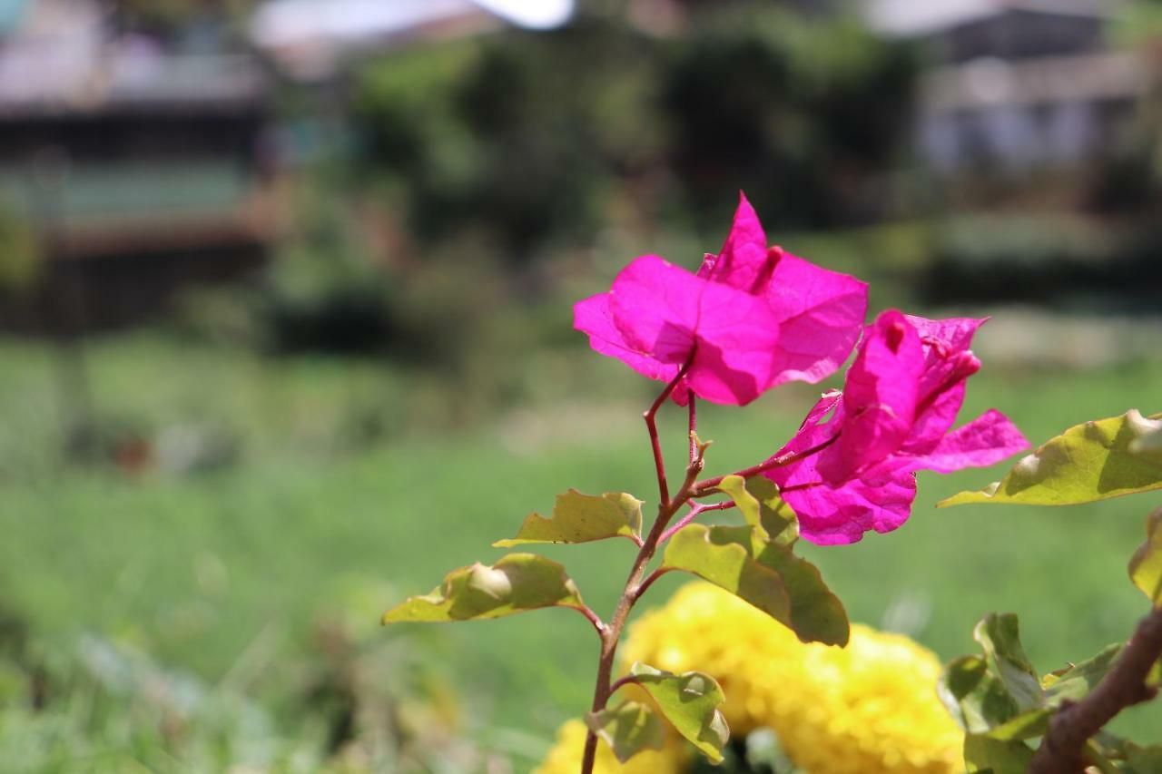 Zion White House Nuwara Eliya