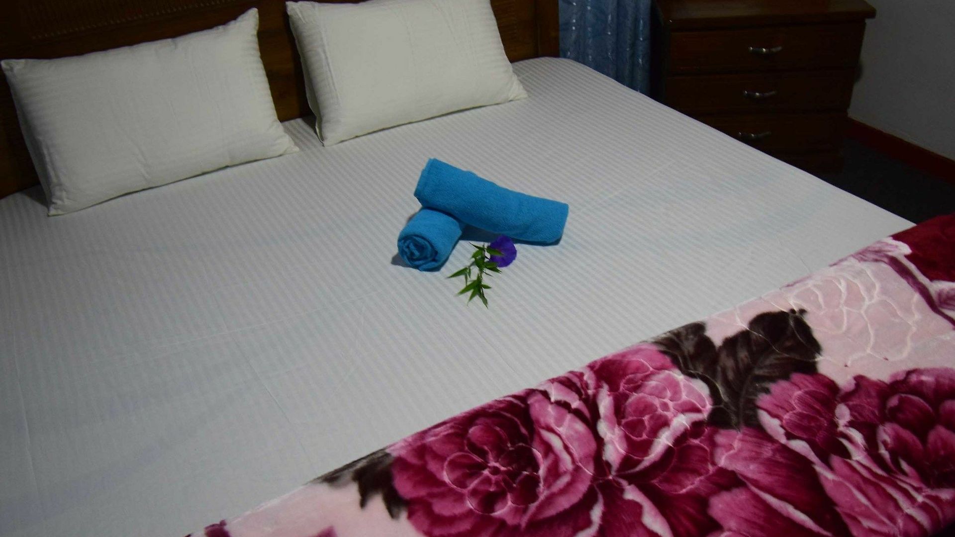 Vista Royal Guest 3*