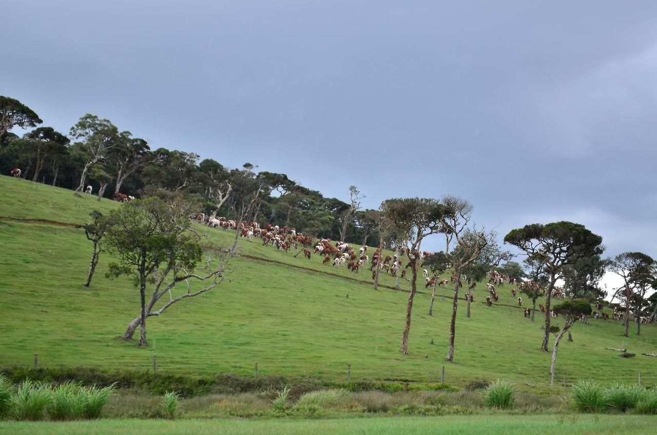 Yensfield Blackpool 3* Nuwara Eliya