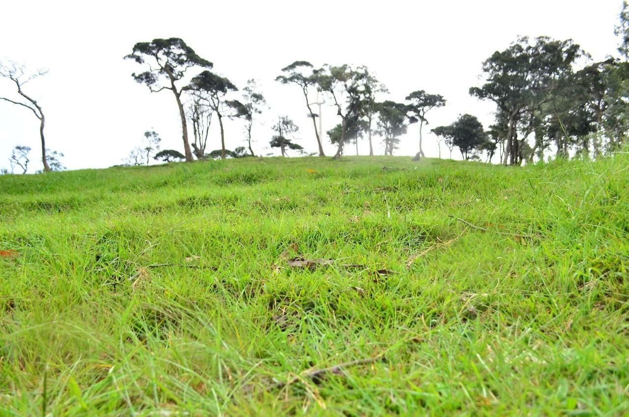 Yensfield Blackpool 3* Nuwara Eliya