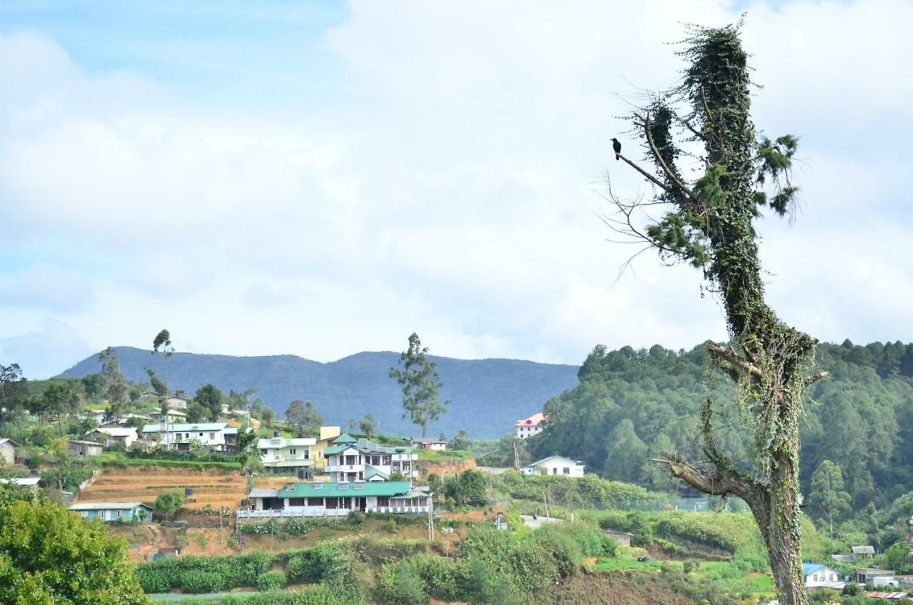 Yensfield Blackpool Nuwara Eliya