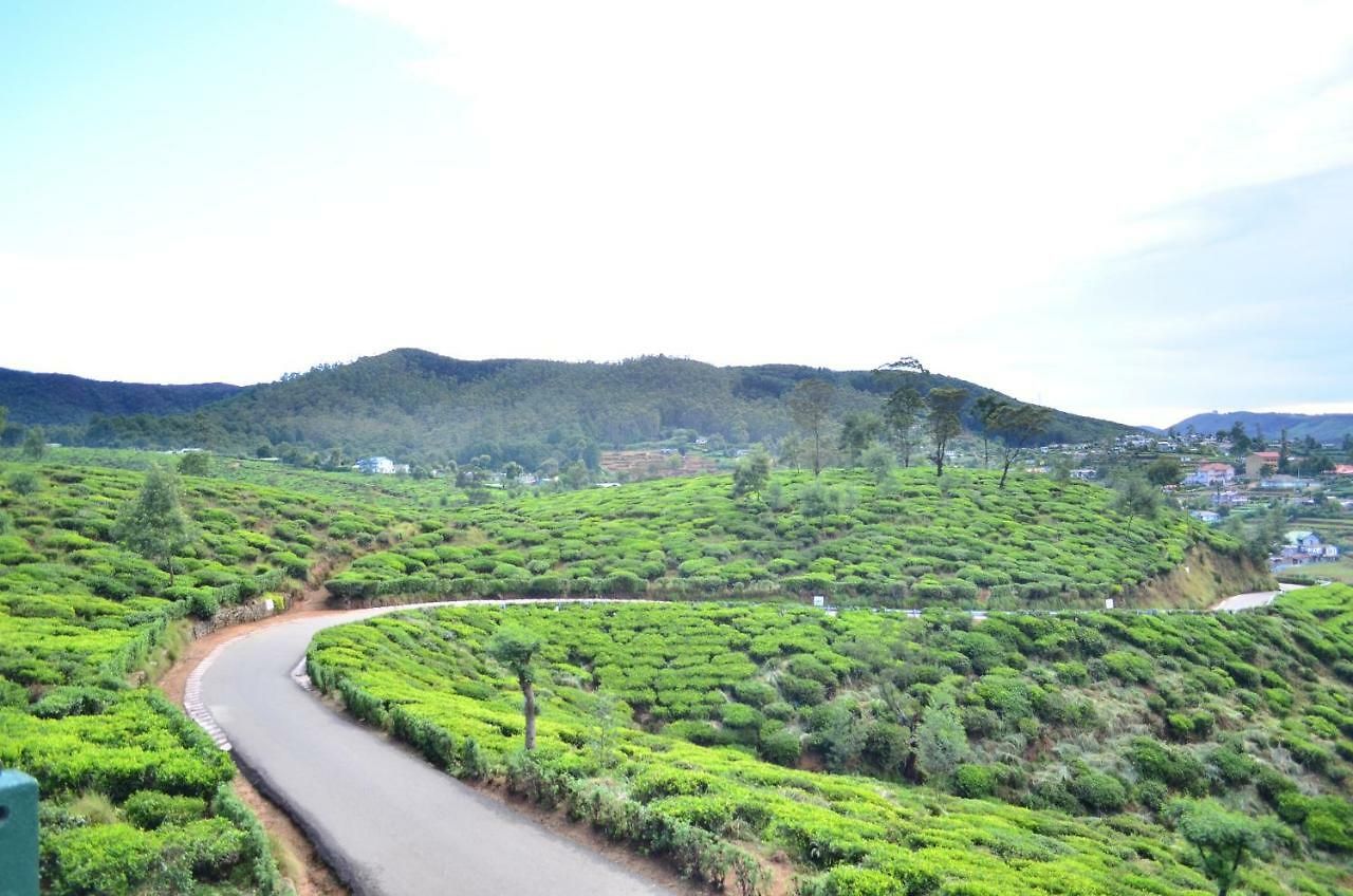 Yensfield Blackpool Nuwara Eliya