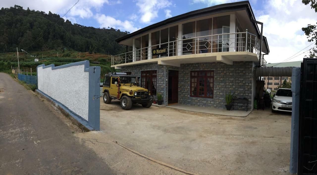 Bed & Breakfast Marigold 3*