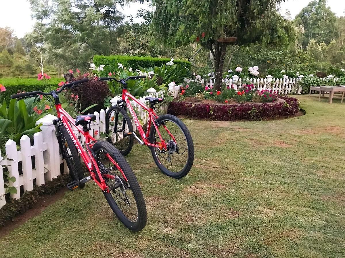 Villa Stafford Bungalow - Exclusive Luxury Within A Private Tea Estate Nuwara Eliya