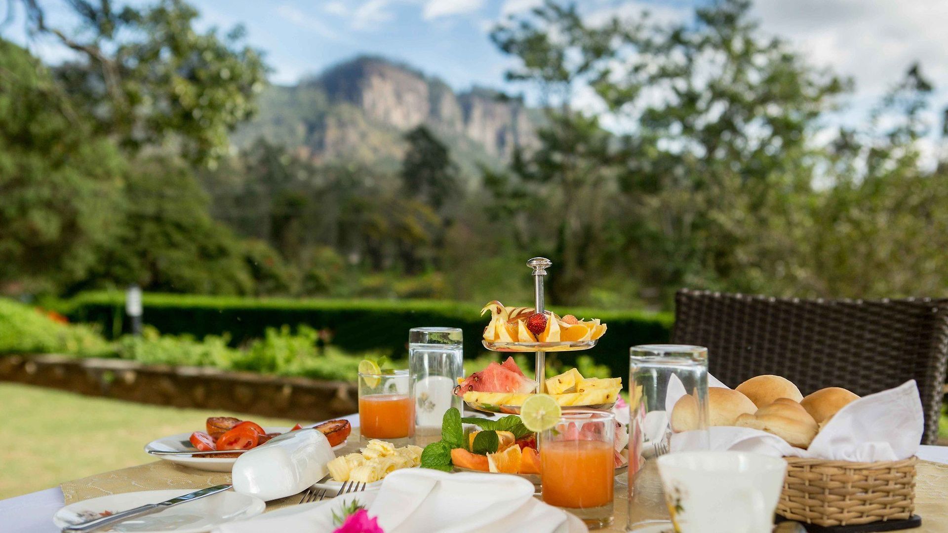 Villa Stafford Bungalow - Exclusive Luxury Within A Private Tea Estate Nuwara Eliya