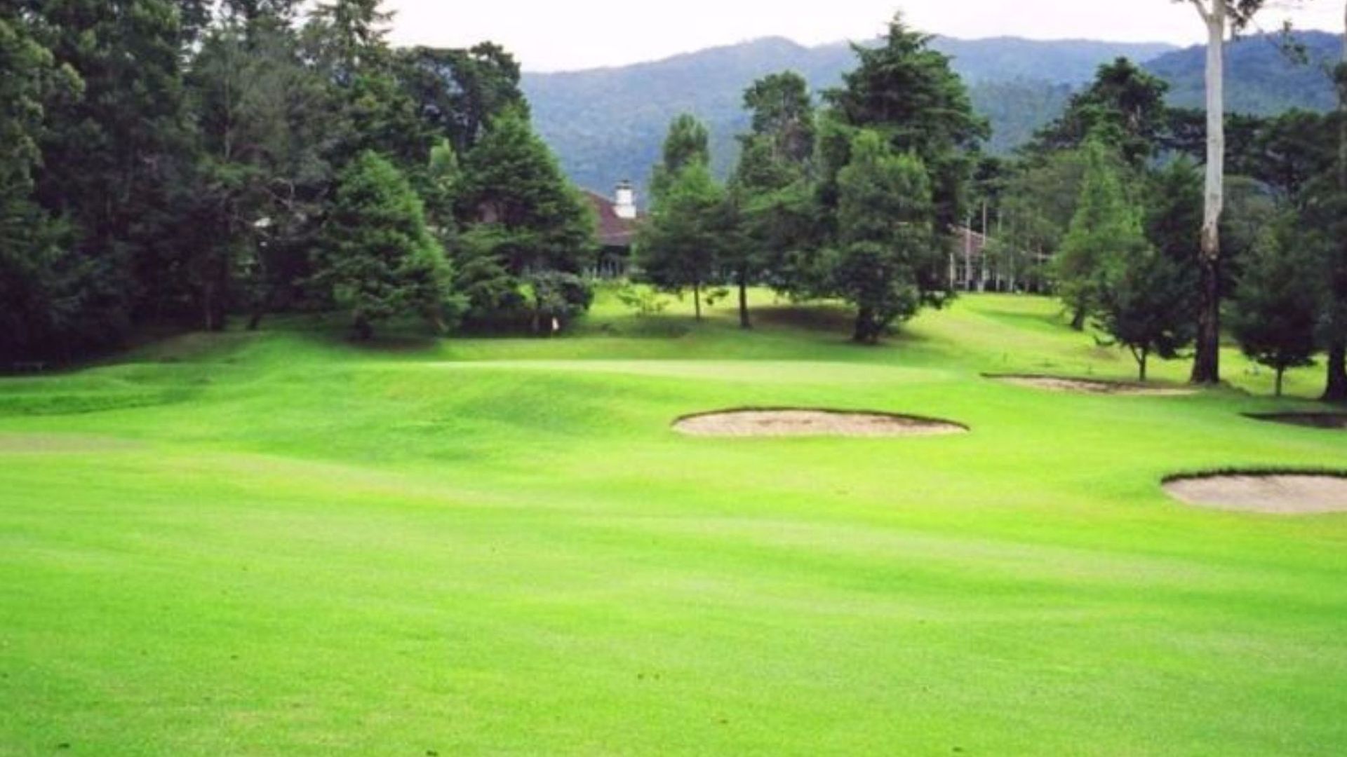 42 3* Nuwara Eliya