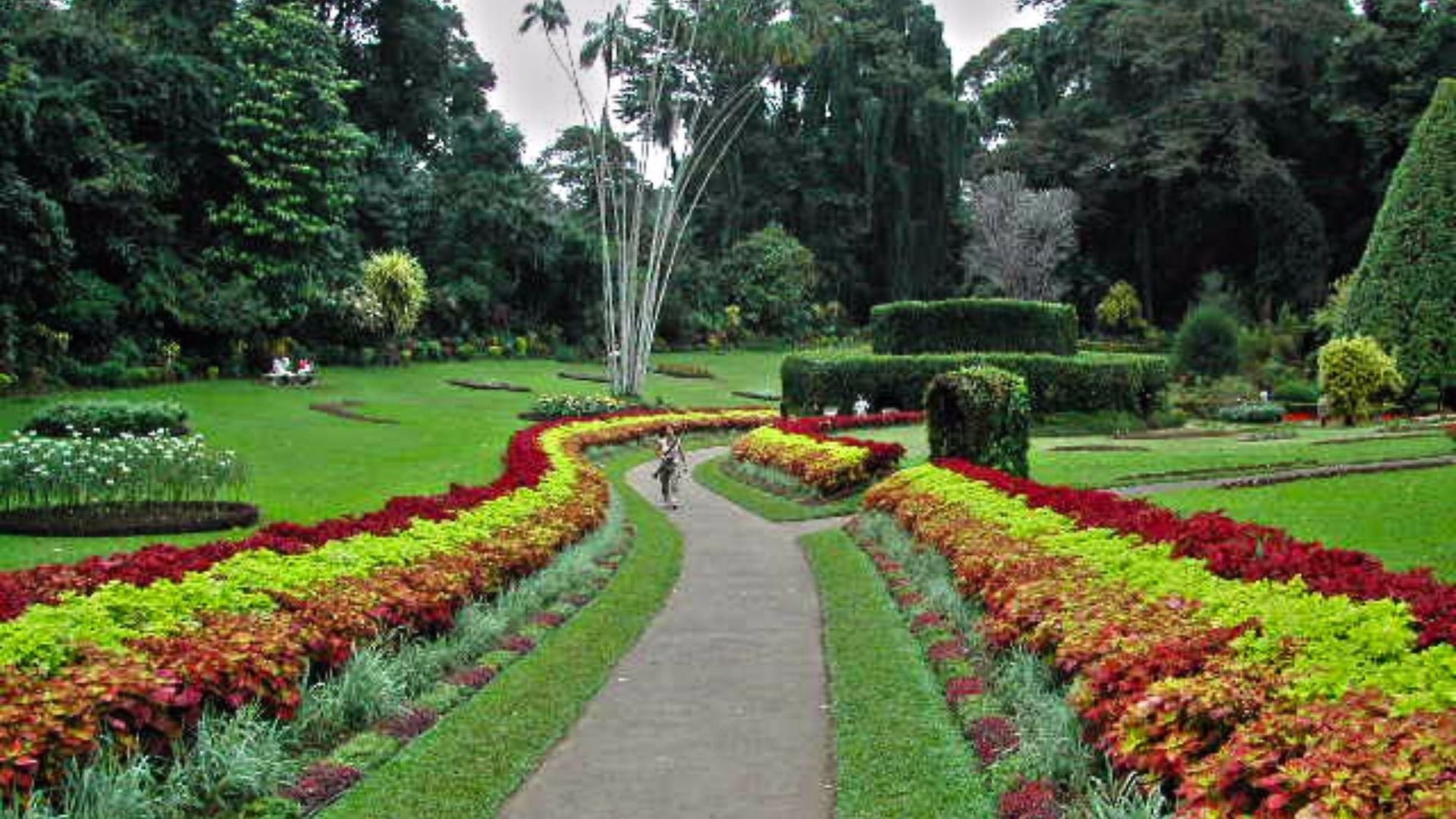 Hotel 42 Nuwara Eliya