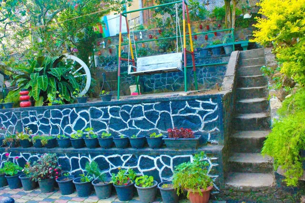 Haven & Guest house