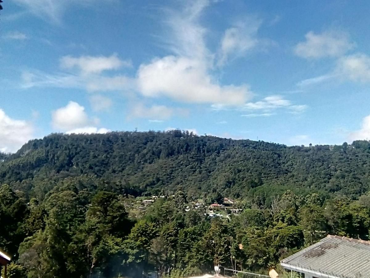 Homestay La Rose Geust House