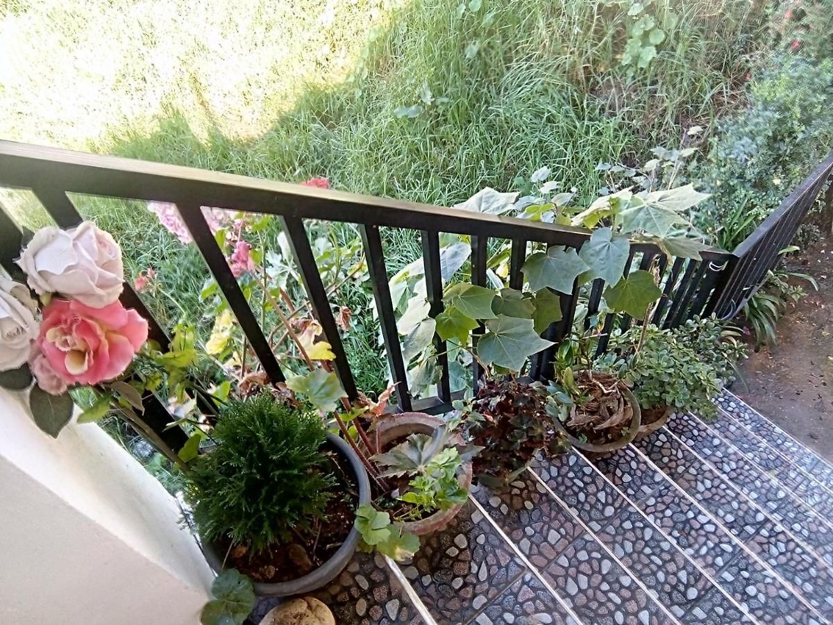La Rose Geust House *