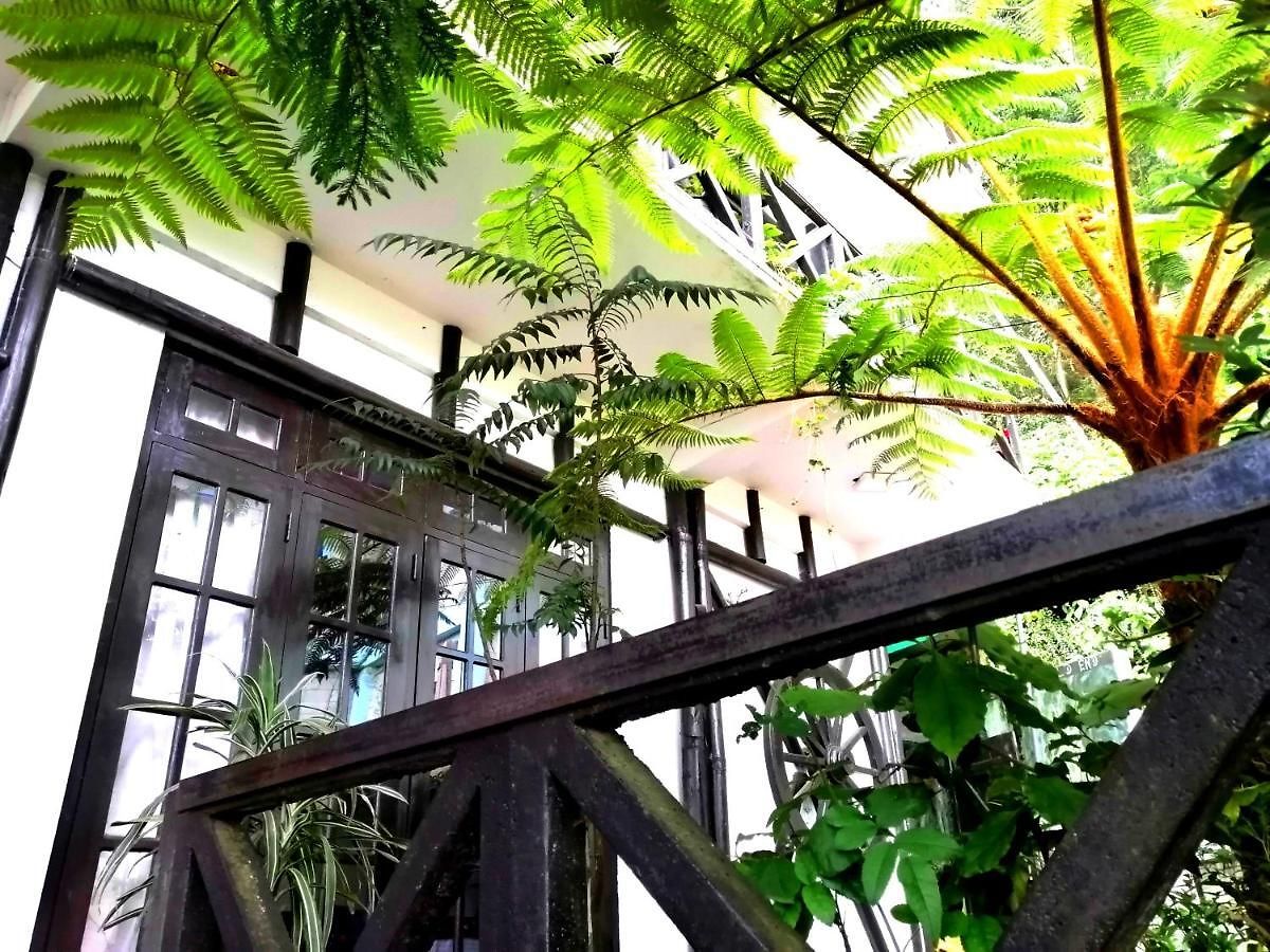 Guest house Chez Allen Mountain View Nuwara Eliya