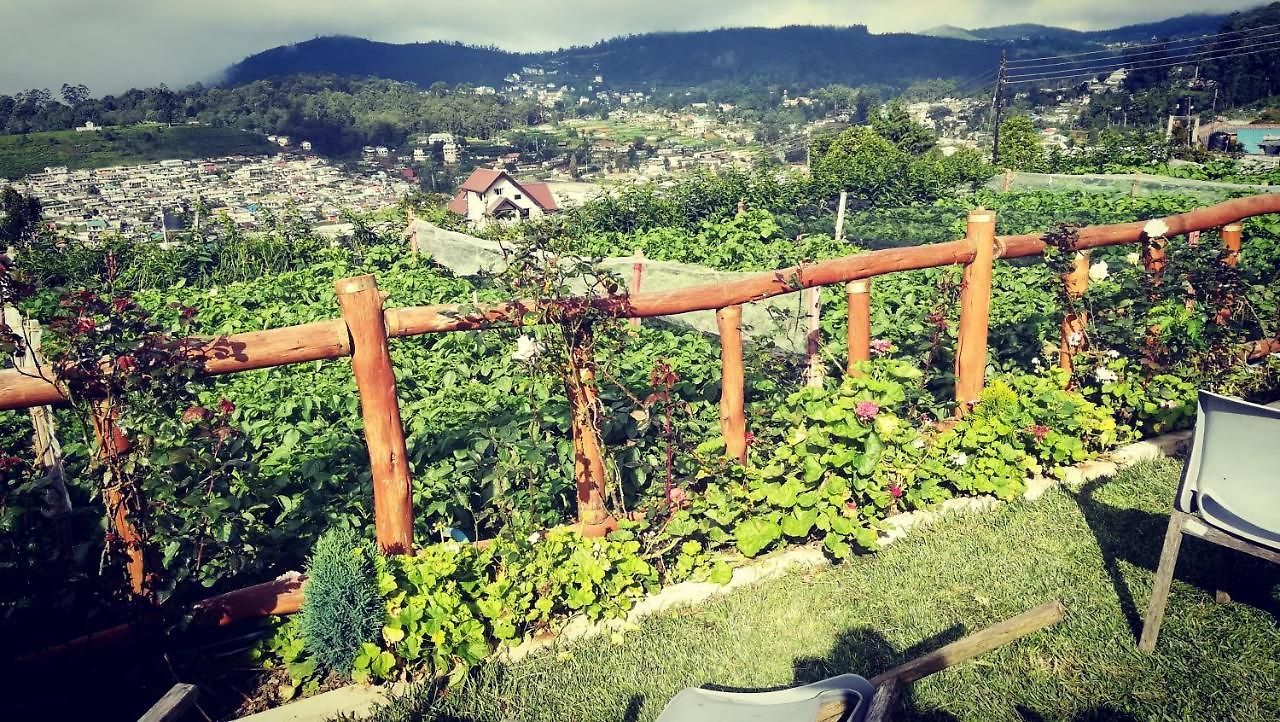 Hotel Lover's Leap Private Bungalow