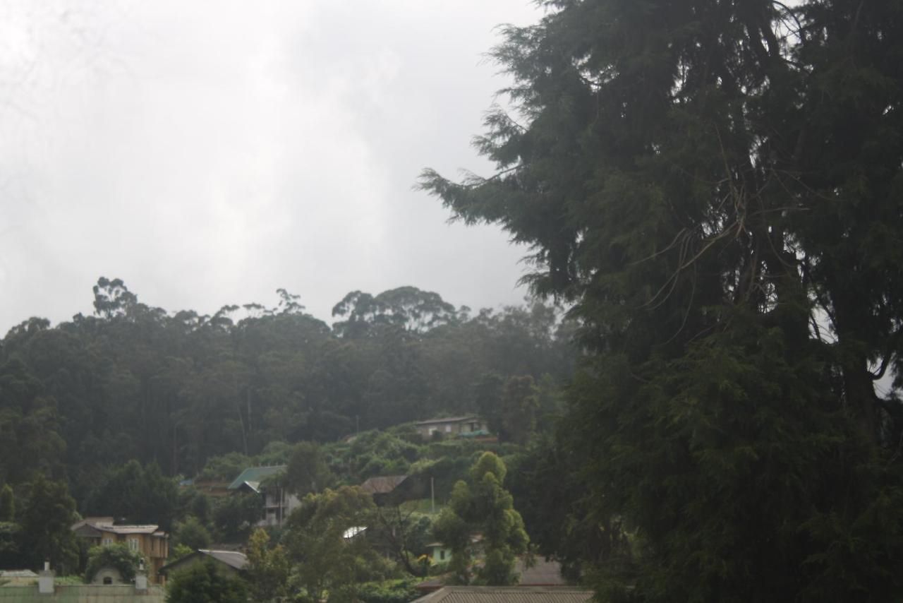 Homestay Dream Hill *