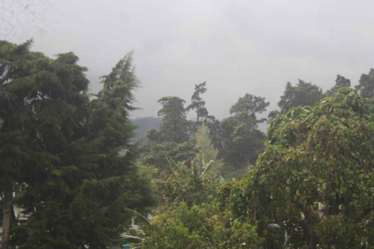 Homestay Dream Hill *