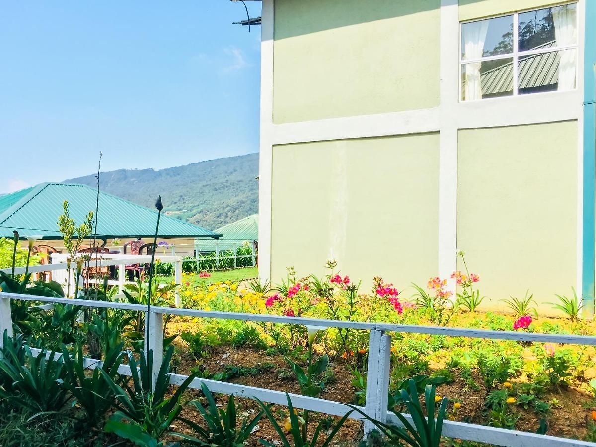 Hydrangea Guest house
