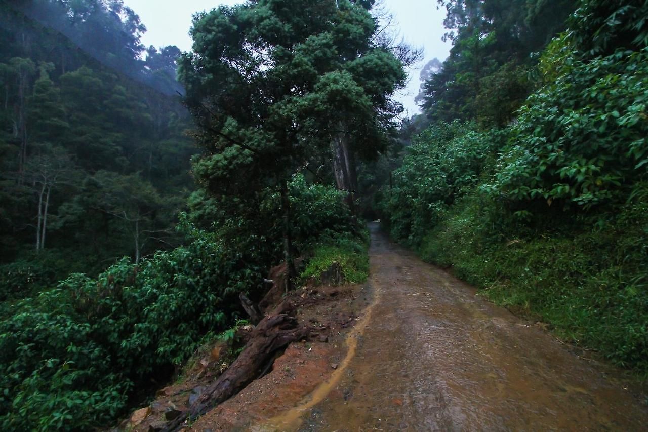 Oyo 503 Forest View Rest Hotel 3*