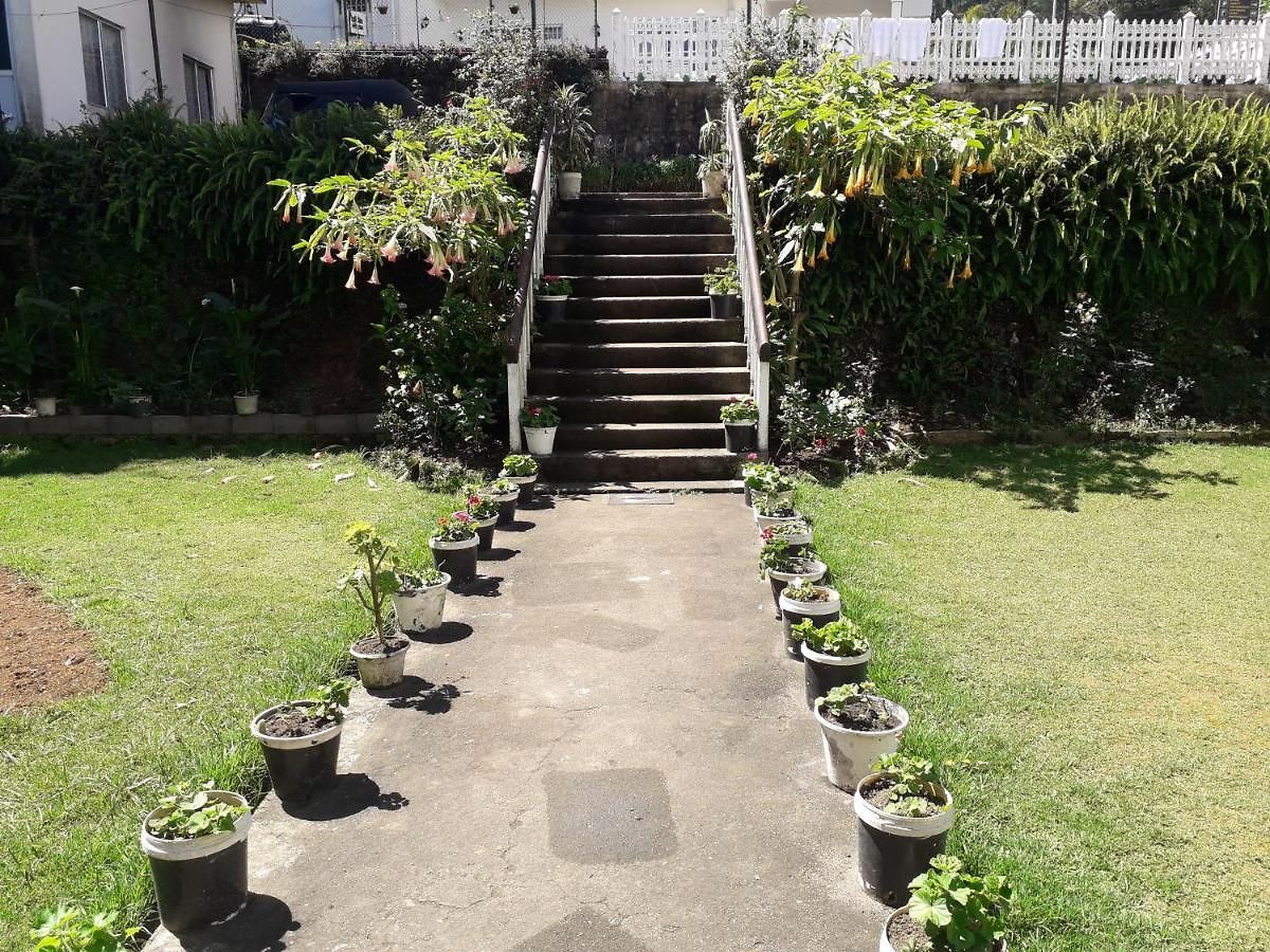 Guest house Oasis Hill Contry Nuwara Eliya