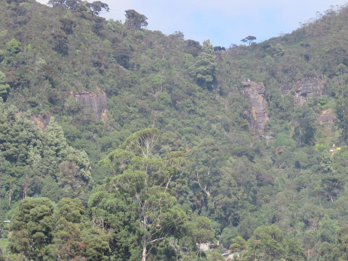Dream Hill * Nuwara Eliya