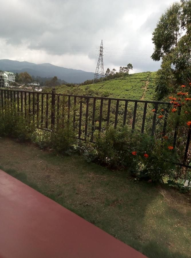 Gregory Guest house 3*