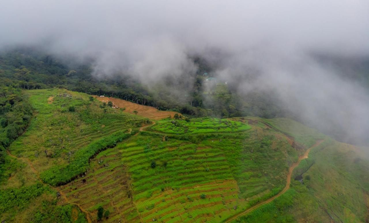 Mandaram Eco