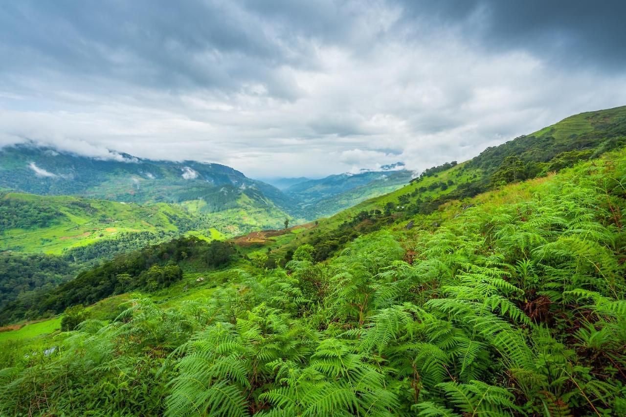 Mandaram Eco 3* Nuwara Eliya