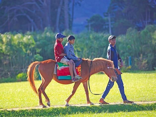 Holiday Nuwara Eliya