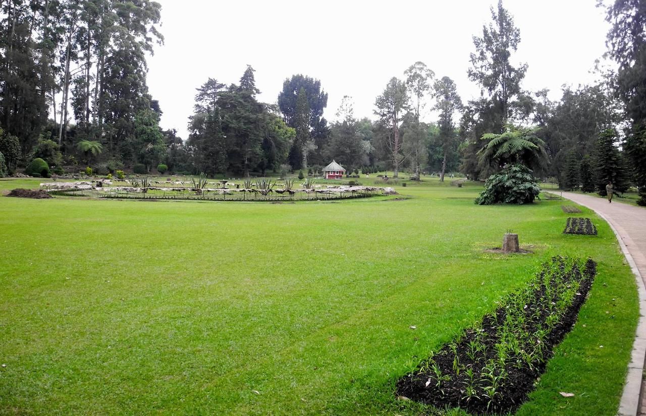 Grand View 2* Nuwara Eliya