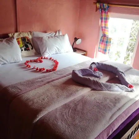 Sincere Wilderness 3* Nuwara Eliya