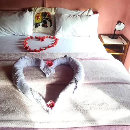 Sincere Wilderness Guest house