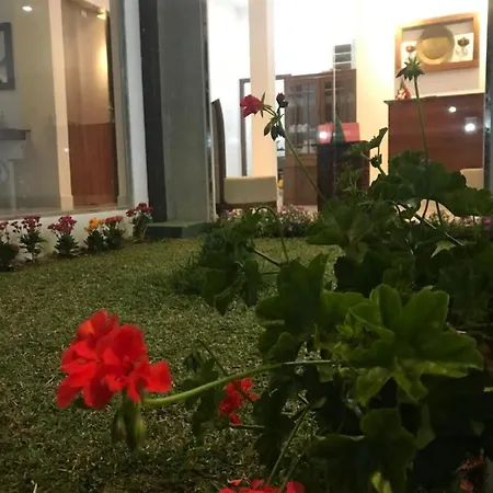 Ivy Bungalow Guest house *