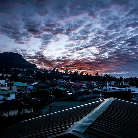 Homestay Dream Hill *