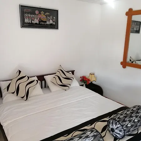 Guest house Aerizo Tours &