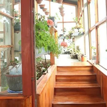 Bezel Nuwara Eliya