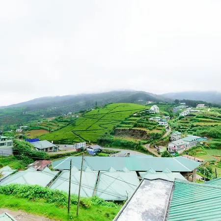Hummingbird Hill