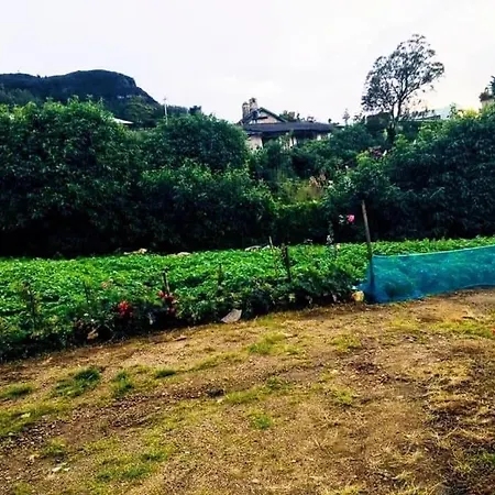 Pinewood Bungalow * Nuwara Eliya
