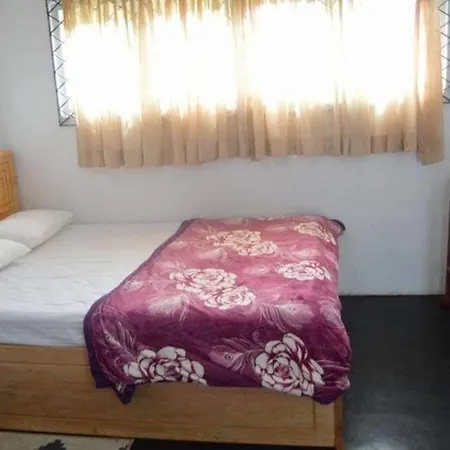 Pinewood Bungalow *
