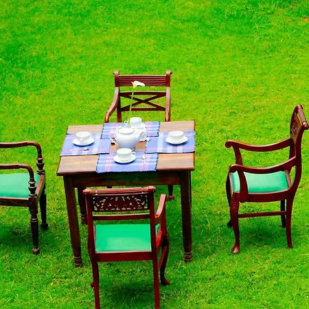 Hotel Green Forest