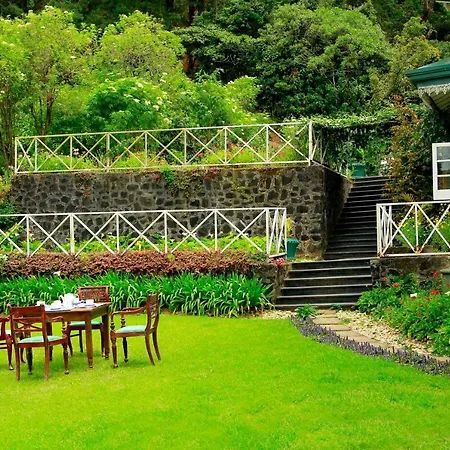 Green Forest Hotel 3*