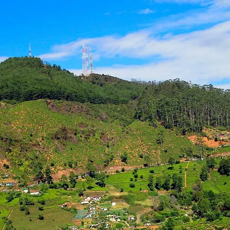 Hotel Green Forest 3*
