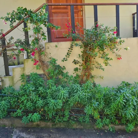 Spring Acre Villa