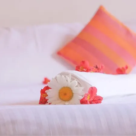 Resort Inroma 3*