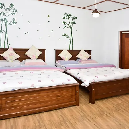 Mountain Stream Courtyard Nuwara Eliya
