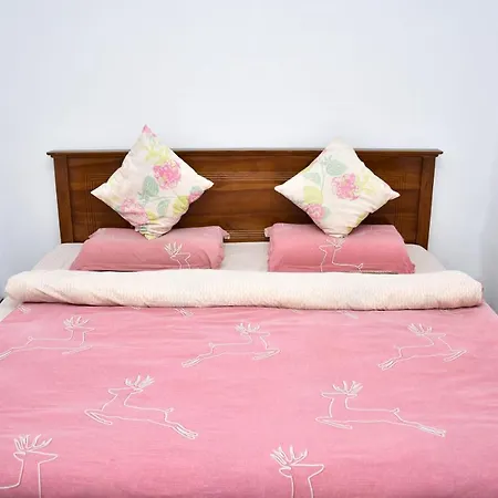 Mountain Stream Courtyard Homestay