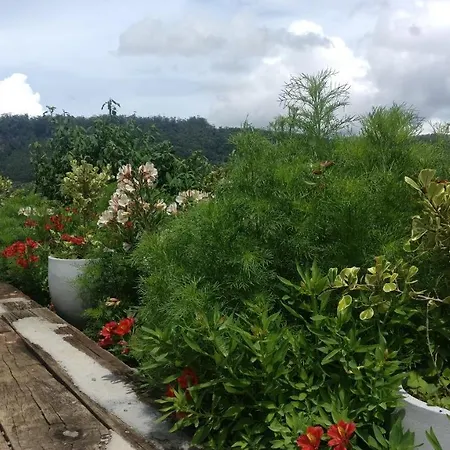 Container Edge Nuwara Eliya