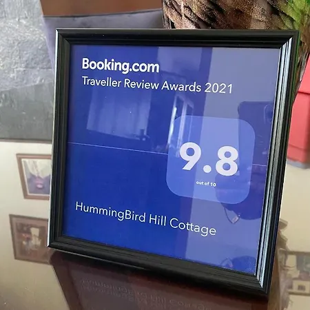 Hummingbird Hill *