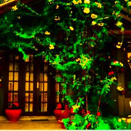 Serendipity Artistic By Heidis Guest house
