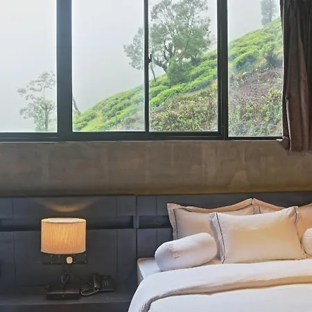 Manuka Hillwood Nuwara Eliya