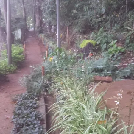 Homestay Woods Hut *