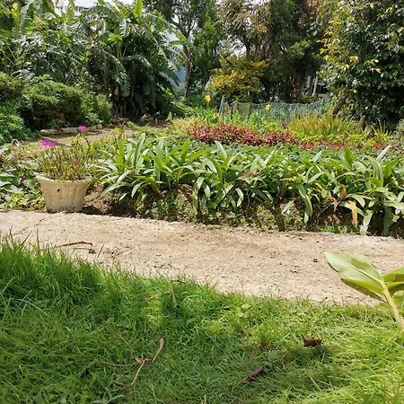 The Galways Edge * Nuwara Eliya